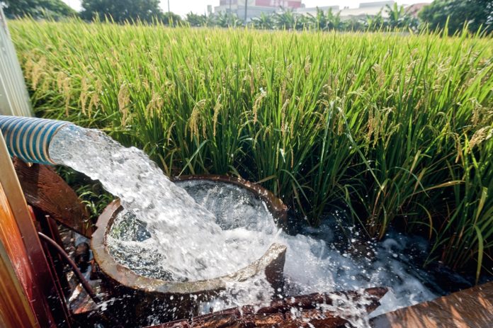 第126 頁 農傳媒