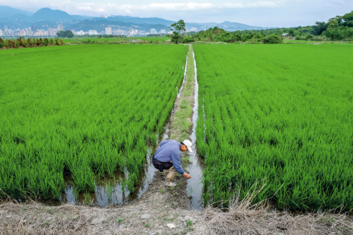 第126 頁 農傳媒