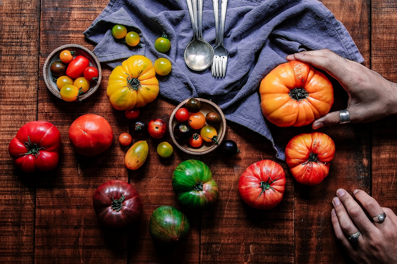 農業英文3】吃祖傳番茄還是完美番茄？ - 農傳媒