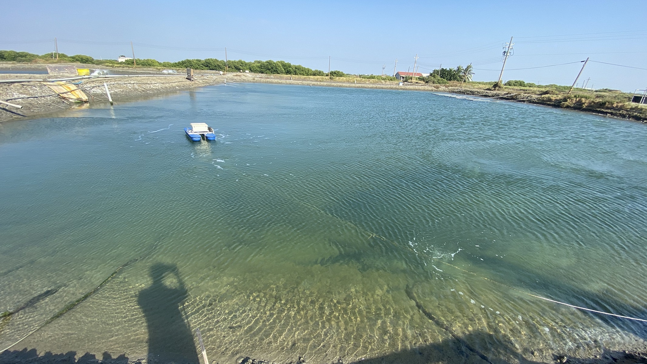 一直做好事直到世界改變──以「數位智慧」走入養殖新世代- 農傳媒