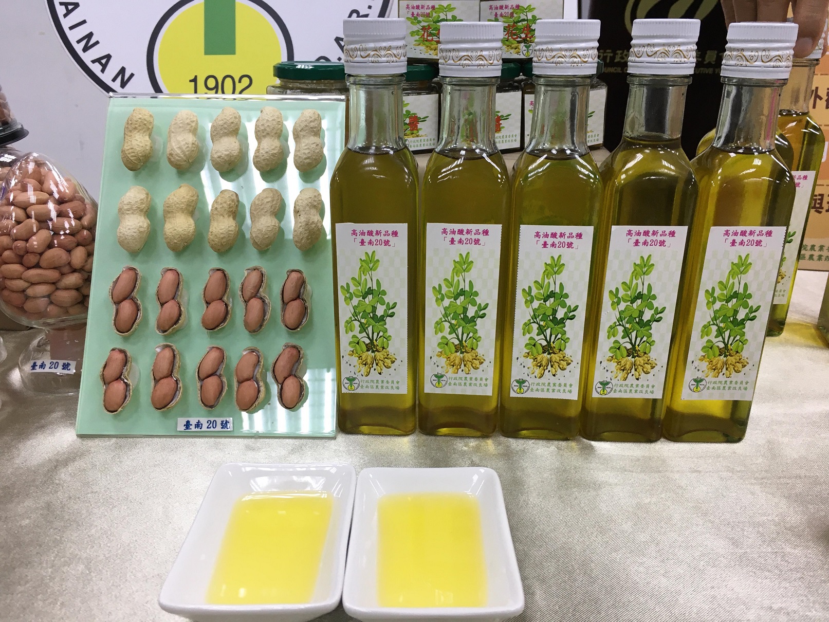 不飽和脂肪酸近似橄欖油花生新品種 臺南號 保存期限更長 農傳媒