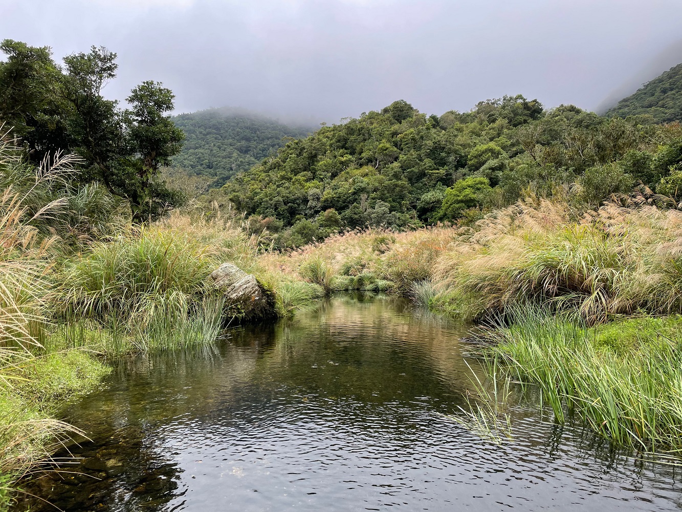 傳統領域也是生態祕境 泰雅族人引路限量體驗南澳神祕湖 農傳媒