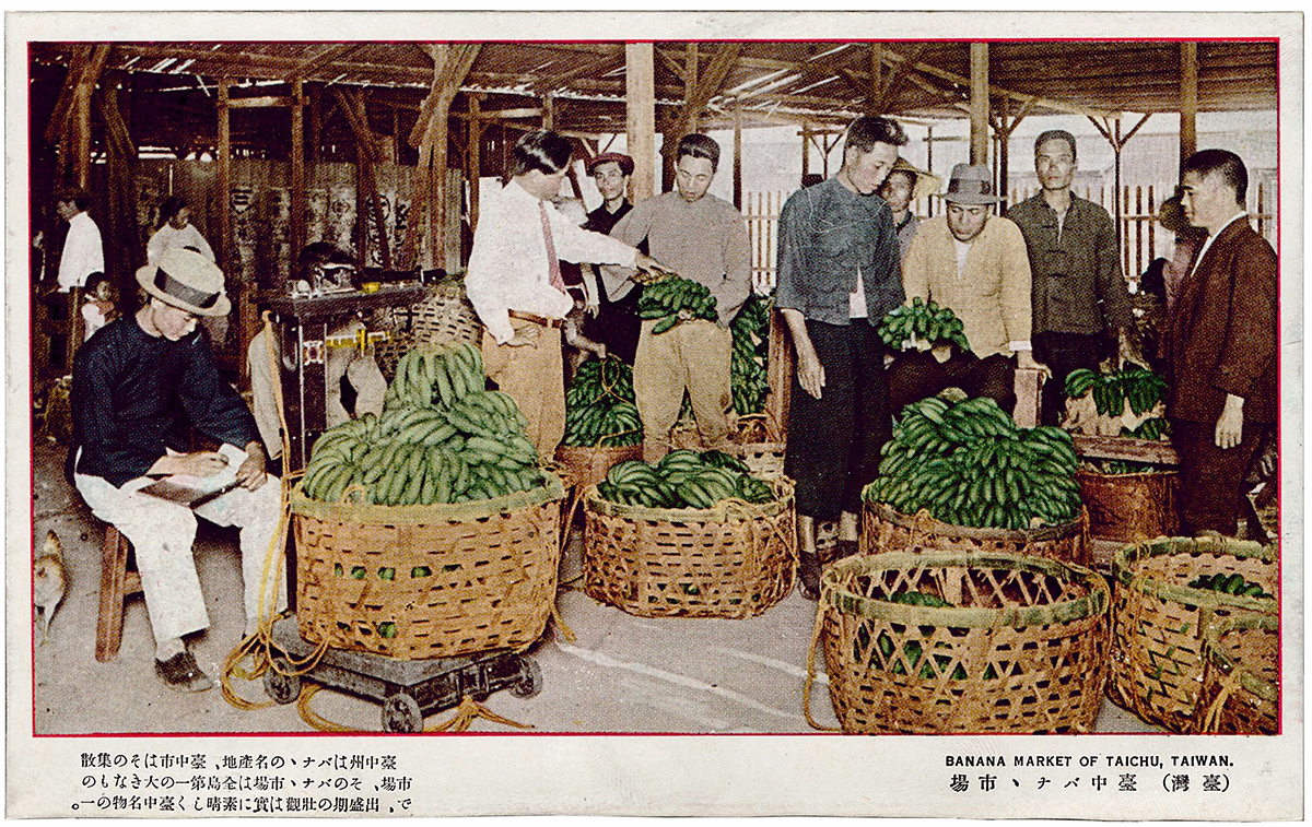 典藏歷史】征服日本味蕾的高級滋味水果王國的最佳代言人──臺灣香蕉