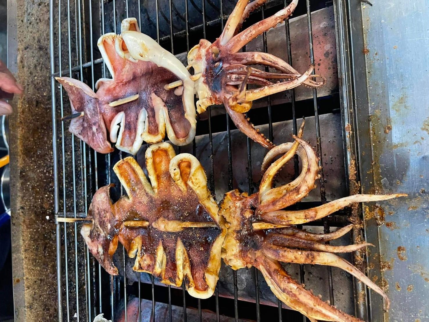 阿根廷魷魚遭中國拒買國內行情好批發商建議轉內銷帶動價格調整- 農傳媒