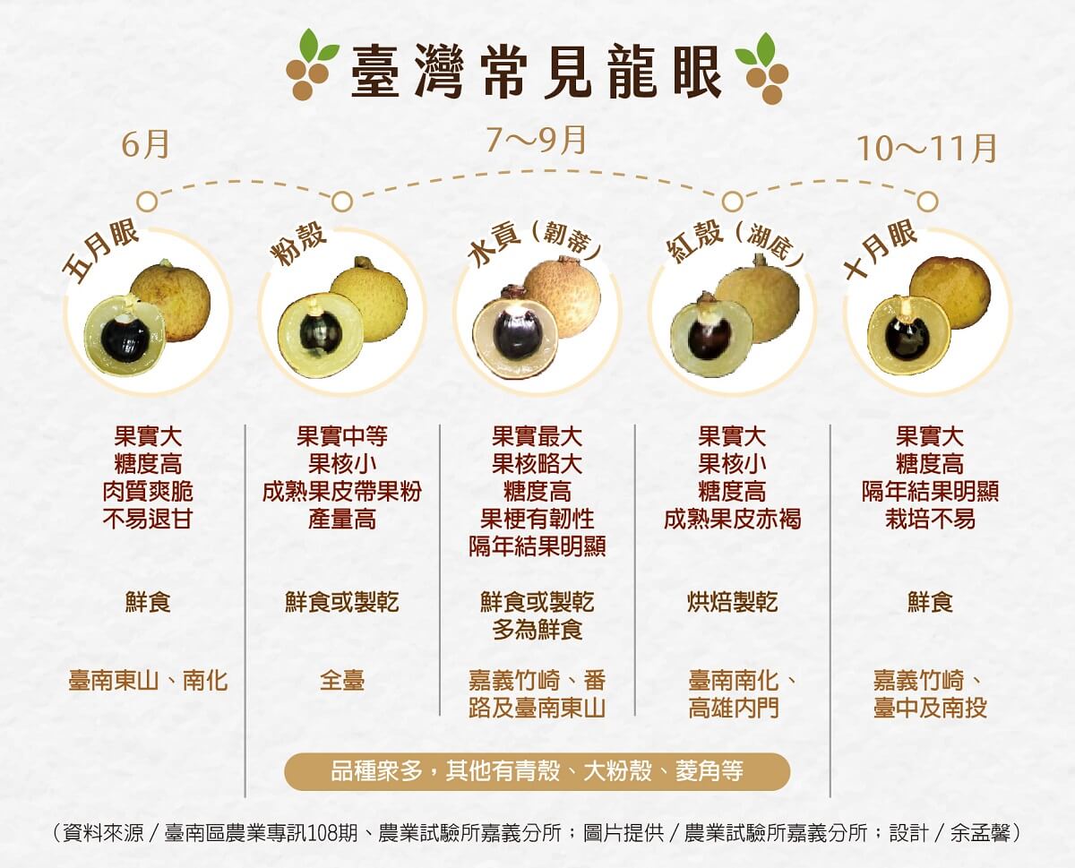 盛暑啖龍眼 「肉似玻璃,核如黑漆」 - 農傳媒