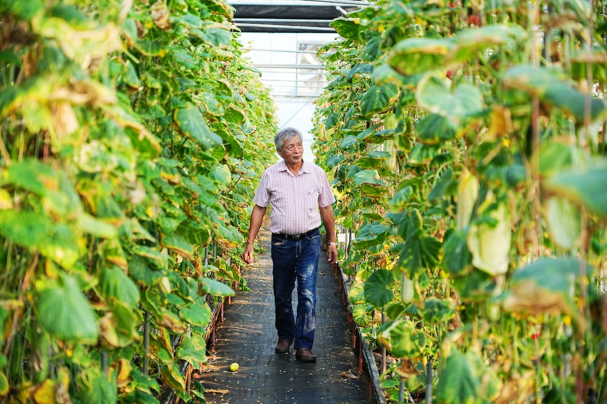 欣樺種苗：種下去，後面的產值是50倍兢兢業業30年「沒有種子就沒有農業」 - 農傳媒