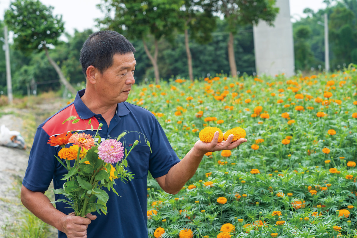 百合花農轉型追時尚羅弘奇精準眼光多元栽培：輕量、百搭、耐儲運持續調整最佳生產模式- 農傳媒