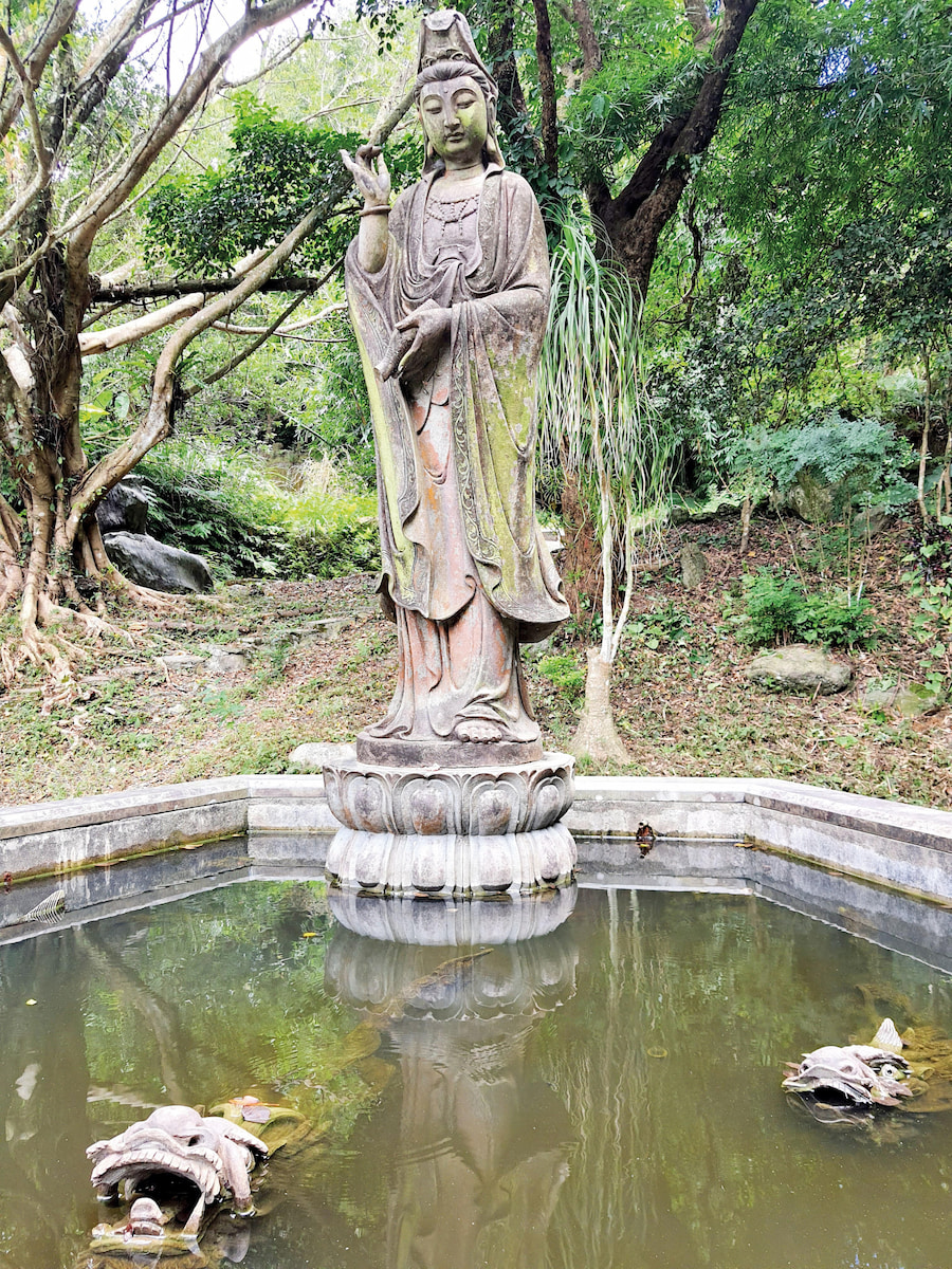 【神明好農情】當仙公遇到偶像劇 - 農傳媒