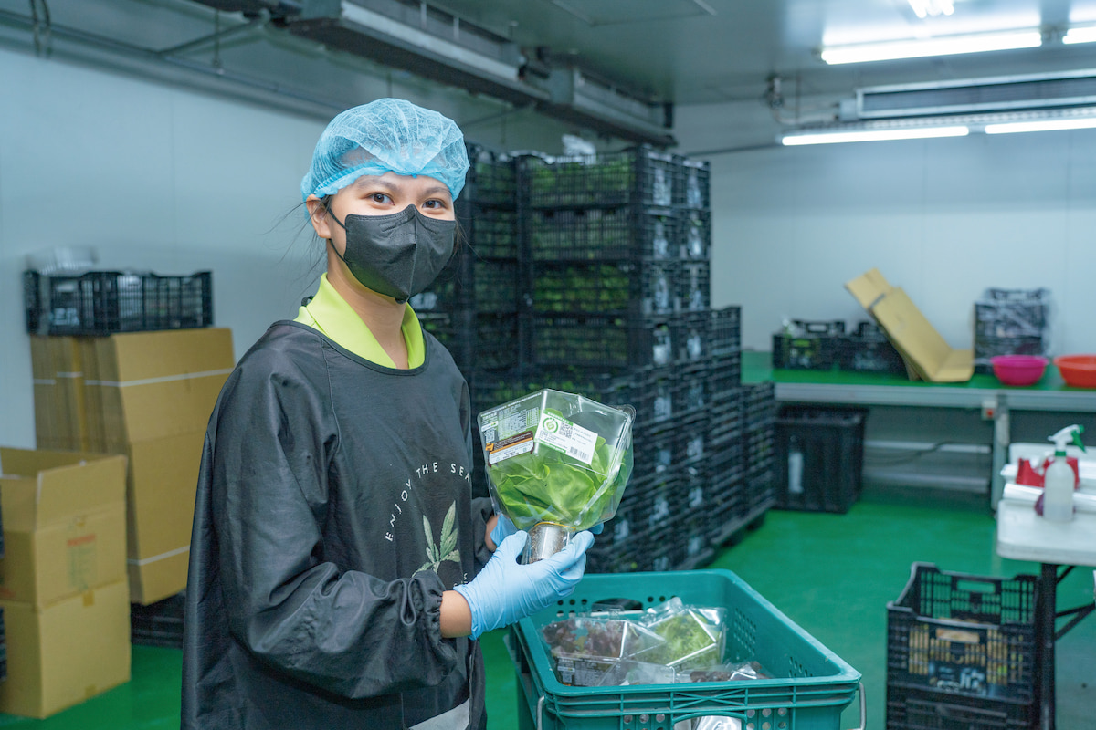 農家所得提高的政策意義與展望：產業升級增強競爭力專業農扮演火車頭╱陳吉仲- 農傳媒