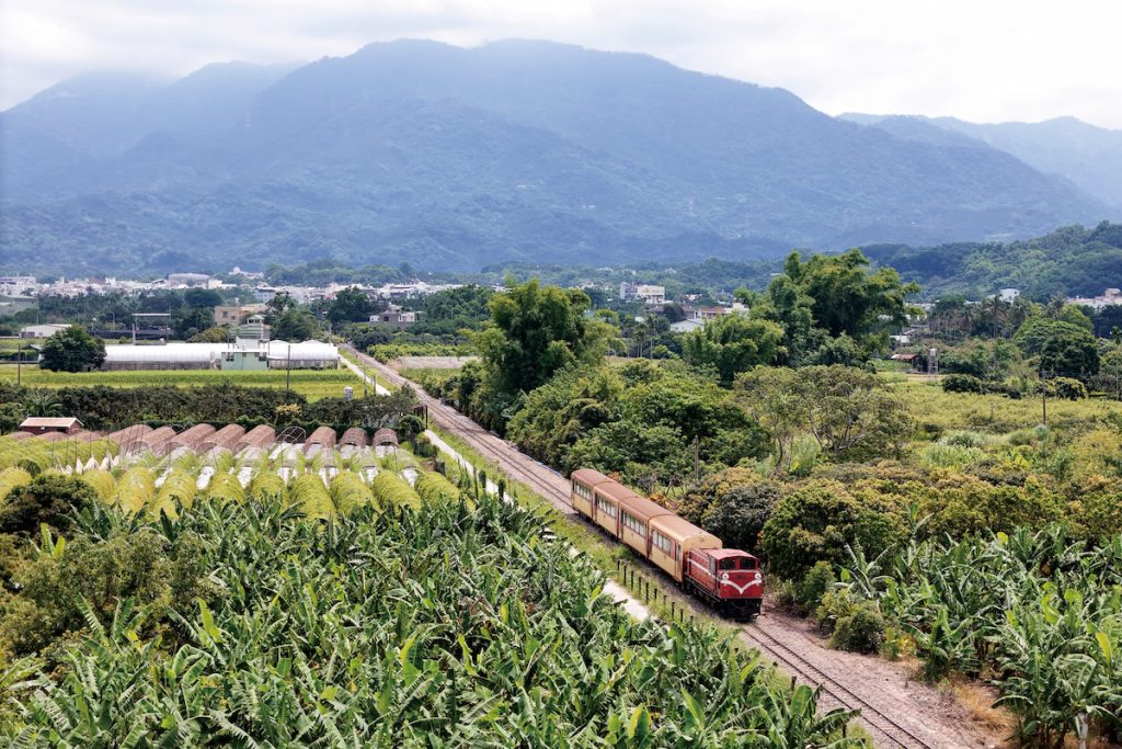 昔日阿里山火車載著學子，鐵道旁甘蔗稻田交織成景，是農村年代的通勤風景。