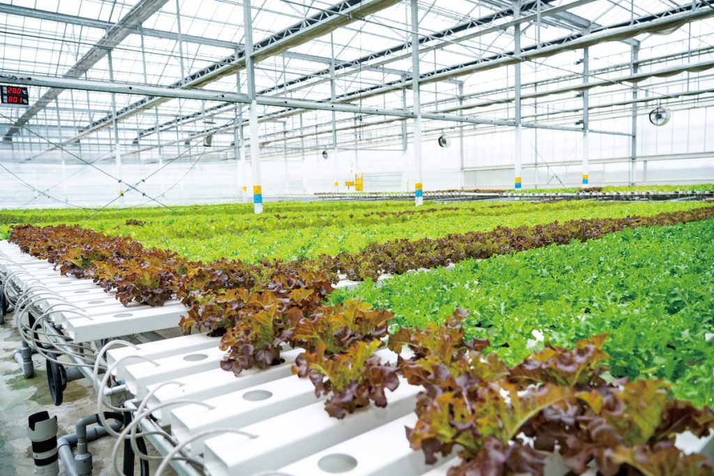 整合數位科技在田間管理應用，從溫室到傳統田間等不同產業環境皆能大幅提升效率。