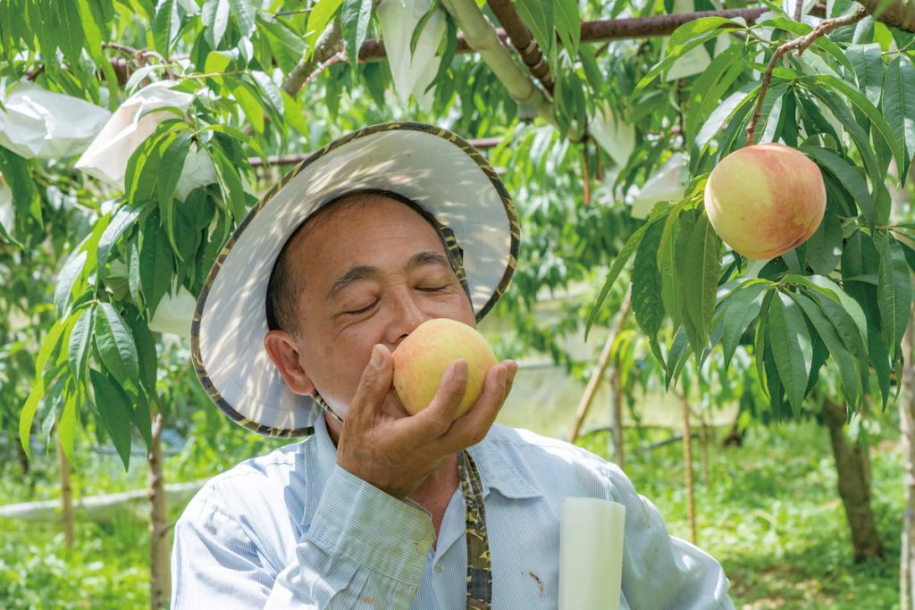 拉拉山第一水蜜桃網紅寶哥，深知鏡頭表演的流量密碼――直接吃。