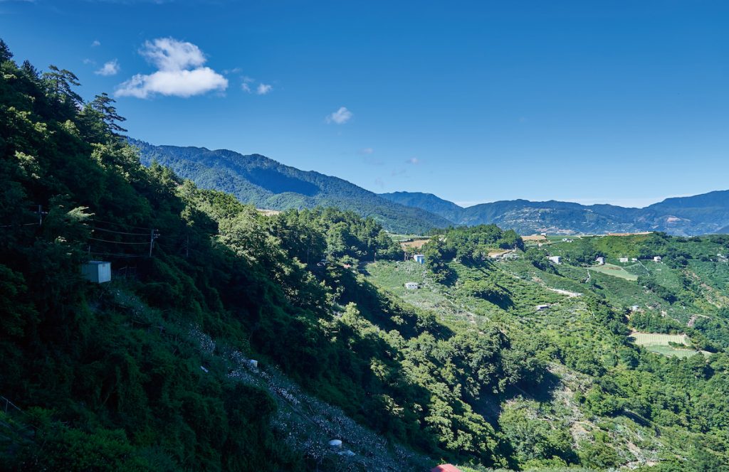 近環山部落的山間，果樹園滿布。