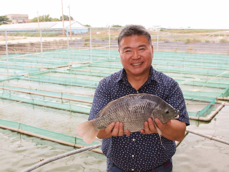 林篤毅是十大神農獎得主，目前臺灣有七成的臺灣鯛魚苗出自他經營的繁殖場。