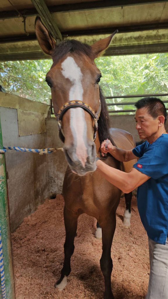 臺灣知名的老資歷大動物獸醫師蕭火城。（圖片提供╱蕭火城）
