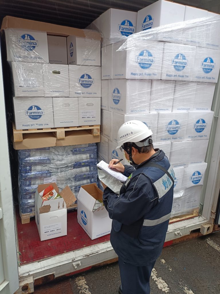 一位防檢署基隆分署公職獸醫師正在抽查貨櫃，為了安全，在貨櫃場獸醫師們都得穿戴好安全帽及反光背心。（圖片提供╱防檢署基隆分署）