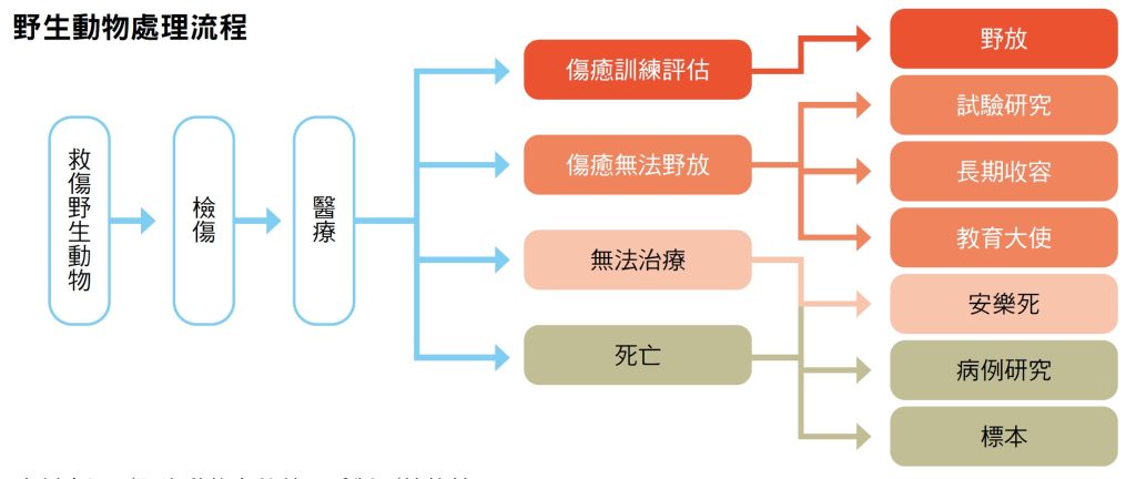 資料來源╱野生動物急救站　重製╱林佳瑩