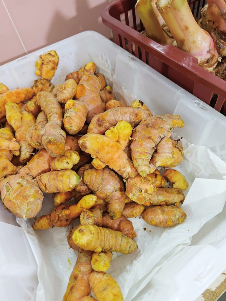 臺灣人熟知的薑黃（Curcuma longa ），其根莖可磨成深黃色粉末，是咖哩的主要成分之一，也常見於中醫藥材之中。