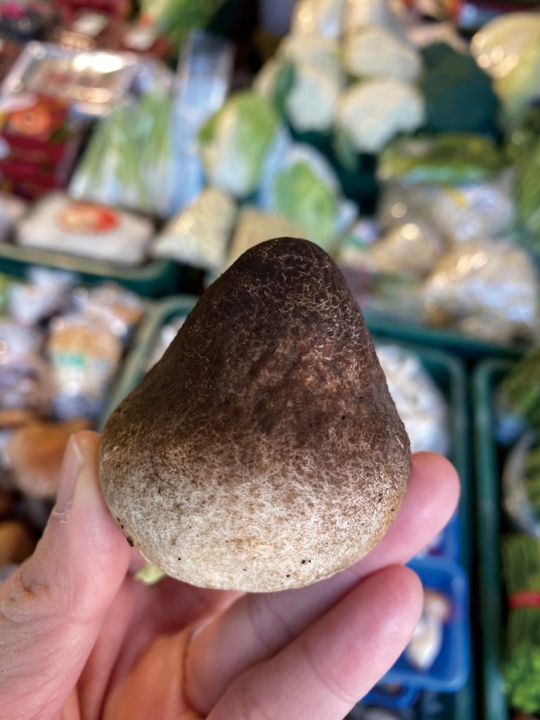 外觀圓潤、與鳥蛋有幾分神似的草菇營養豐富，是極佳的蛋白質來源。