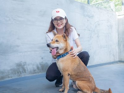 家畜疾病防治所長所林珮如，時常關心嘉義縣動物保護教育園區內的收容動物，為牠們提供最妥善的照顧。