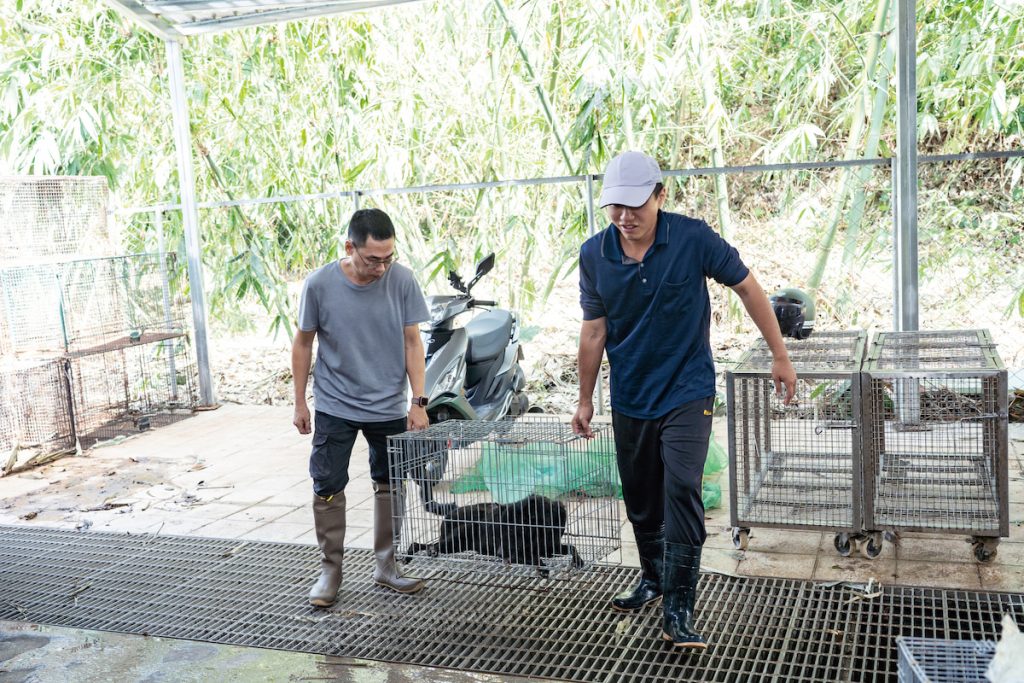 嘉義縣動物管制隊分為日夜兩班24小時，不僅定期針對犬隻熱區進行捕捉，也即時應對民眾電話通報的緊急救援，將犬隻帶回收容所安置照護。