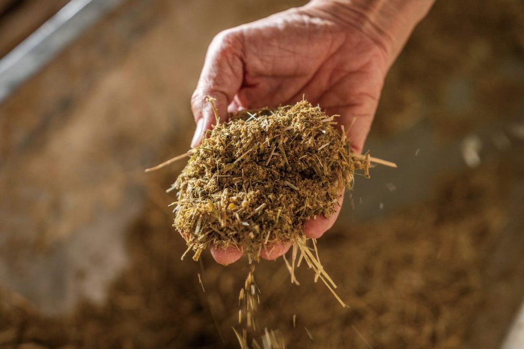 豐興畜牧場裡使用的TMR（完全混合日糧，Total Mixed Ration）飼料。