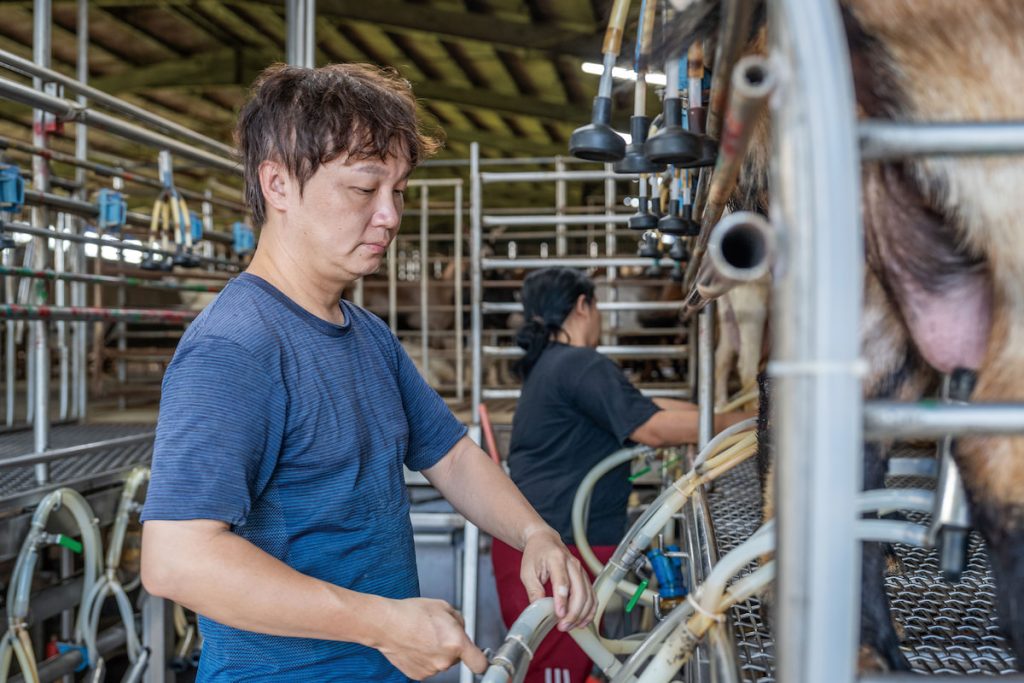 李明興的兒子李晨維26歲回到家裡與父親共同經營畜牧場，至今也過了18年。