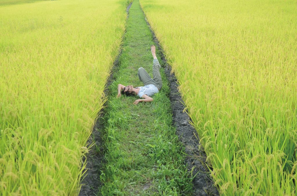 躺在稻田中，感受農村氣息、與土地親近，是每個人都可以擁有的體驗。