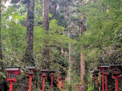 參天古木和道旁成排燈籠讓氣氛一變，看到這個就知道山頂快到了。