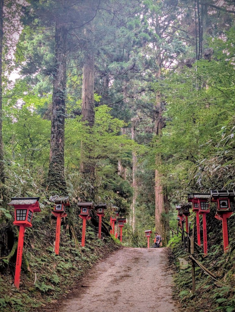參天古木和道旁成排燈籠讓氣氛一變，看到這個就知道山頂快到了。