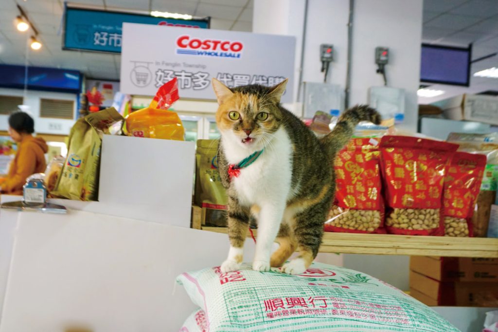 我研判這張牠不是在罵髒話。