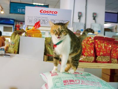 我研判這張牠不是在罵髒話。