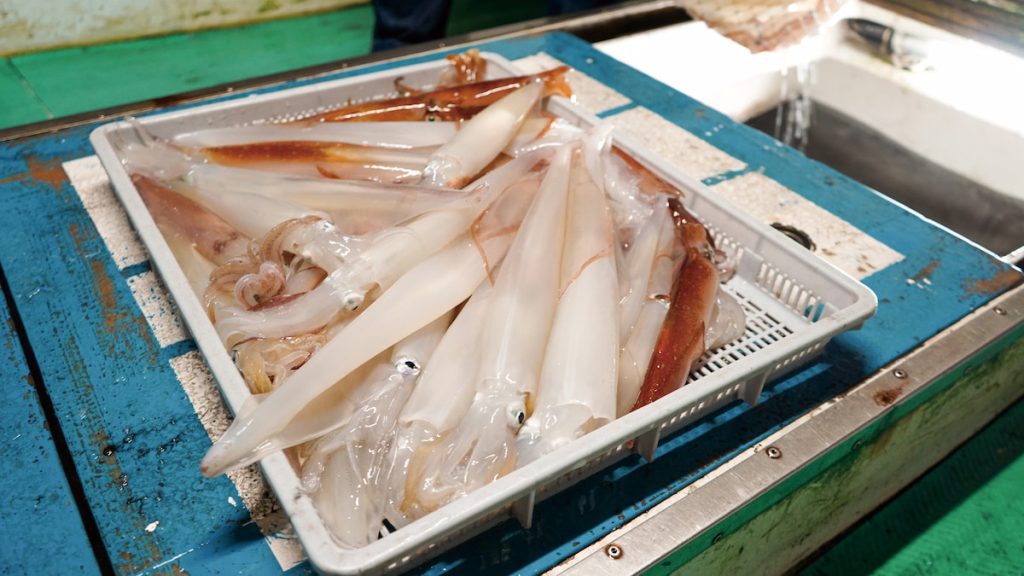 澎湖龍門「洄家吃魚」友善捕撈船凍中卷,族群龐大穩定、恢復力佳。