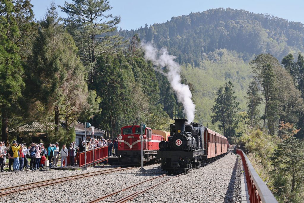 蒸汽火車與阿里山號同框的珍貴畫面。