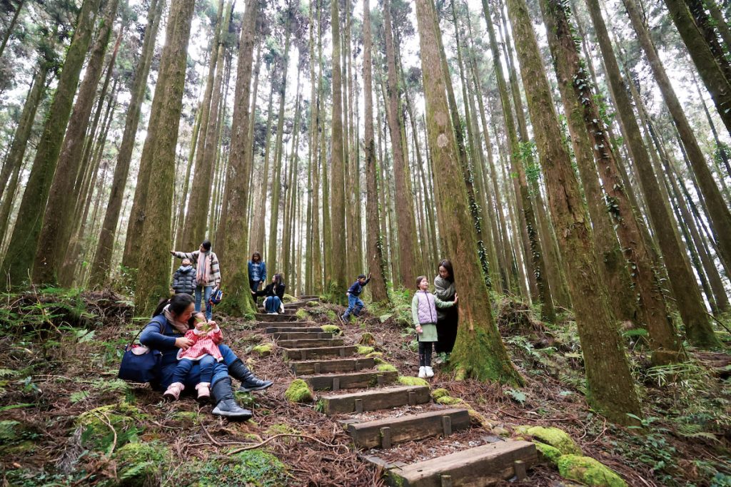 親子在小徑上感受山林的寧靜,留下難忘的自然體驗。