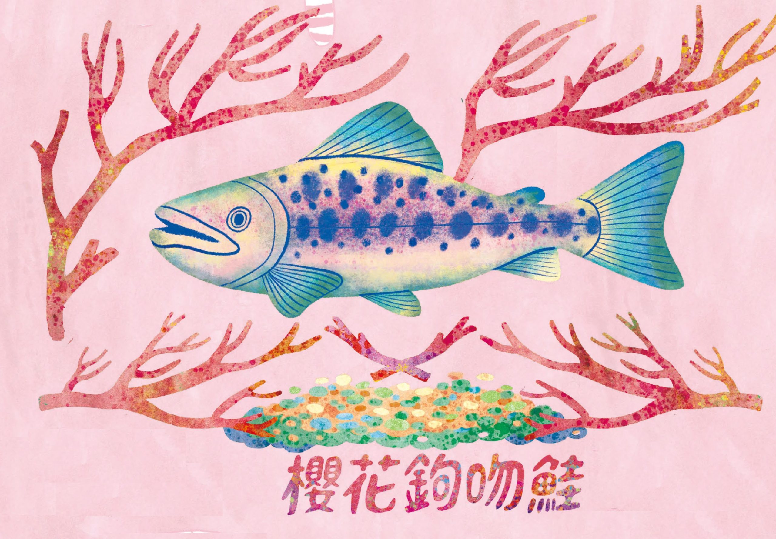 臺灣原生種】櫻花鉤吻鮭Oncorhynchus masou formosanus - 農傳媒