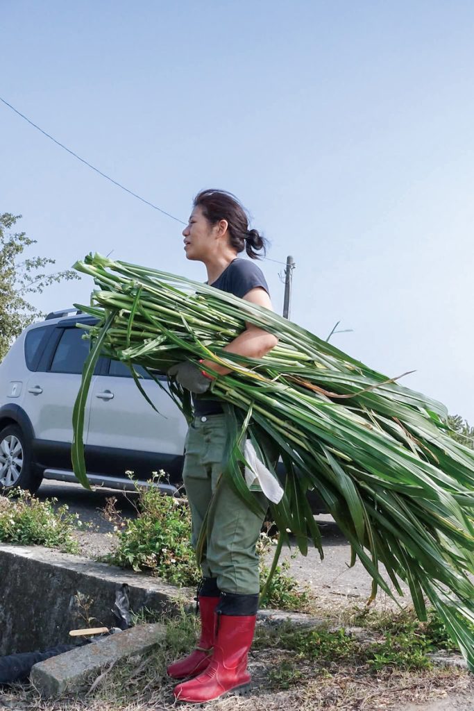 割牧草給臺灣牛吃也是生態廚師需要體驗的一環。