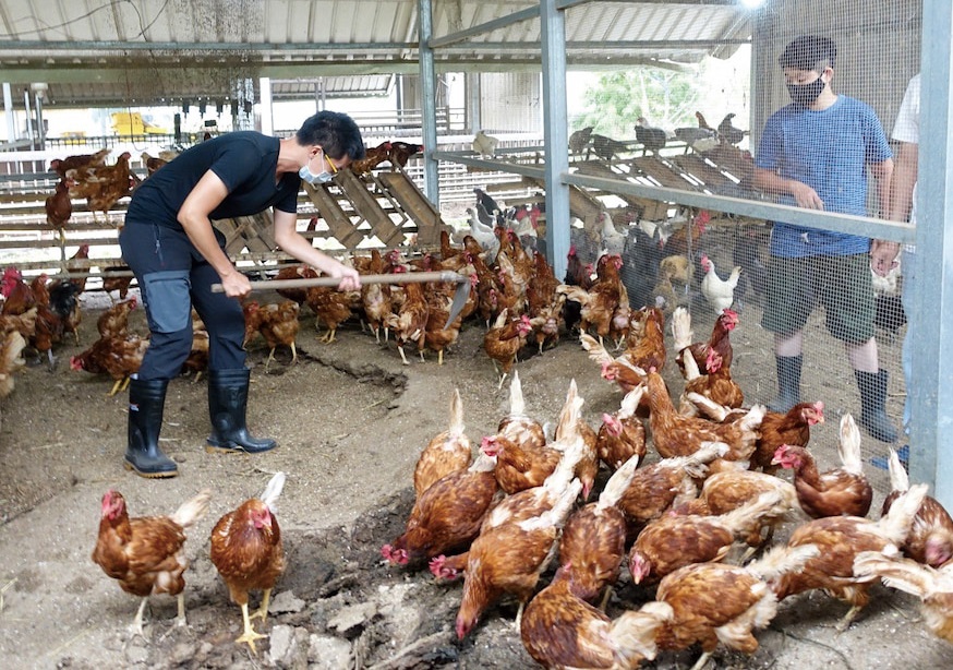 生態廚師團隊需走訪產地,了解農民與物產的細節。