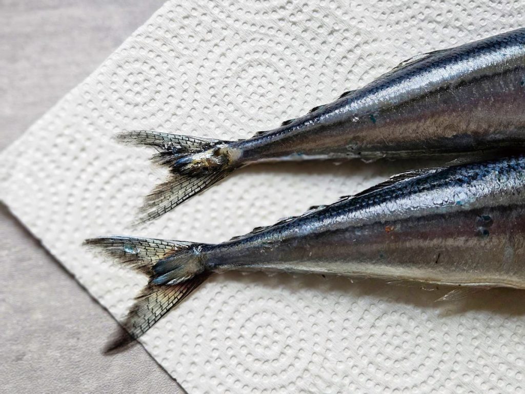 料理步驟
1 秋刀魚的內臟有豐厚的油脂和獨特的苦甘味,雖然烤秋刀魚不去除內臟,但是因為秋刀魚容易有寄生蟲,所以一定要完全烤熟才能食用。新鮮的秋刀魚身銀亮如刀,尾巴透明帶藏藍色光澤,少許沒有脫落的鱗片則是螢光藍,眼睛明亮,排泄孔沒有血水為佳。