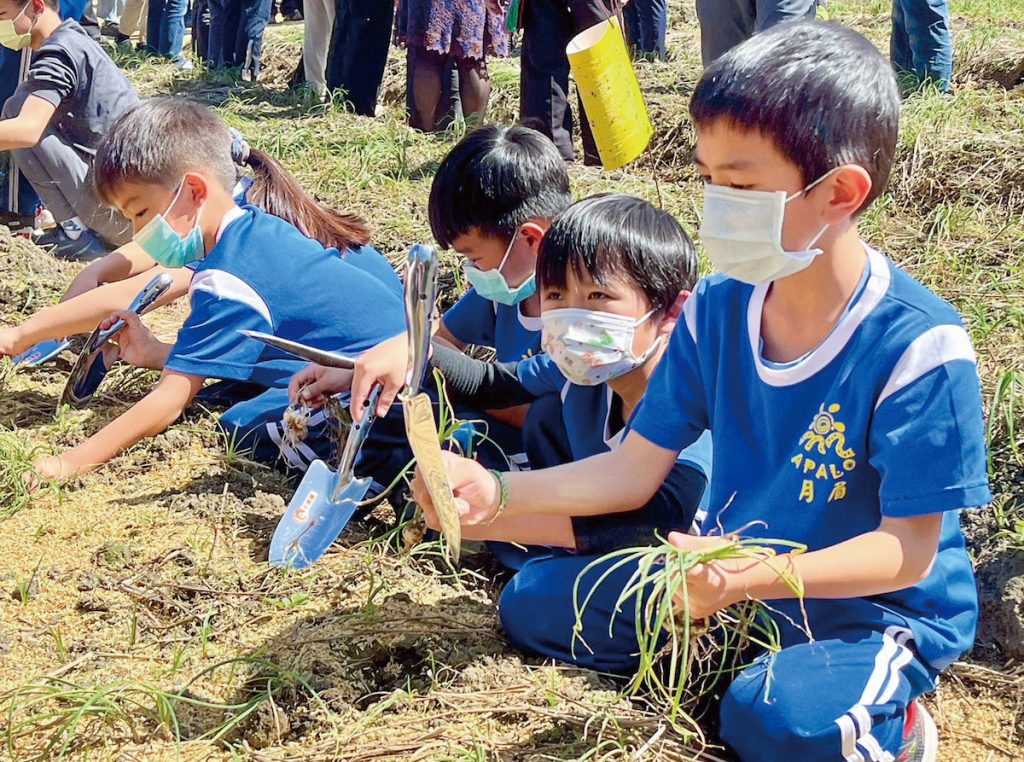 參加火蔥食農教育的月眉國小學童親自體驗採收保種圃種球，更了解部落長輩傳承的用心。