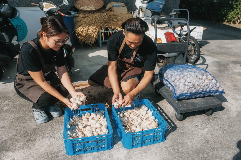 夫妻兩人把握難得的陽光晒蒜頭,蒜頭是向雲林莿桐農家採購,為多雨的宜蘭帶來臺灣中部的暖意。