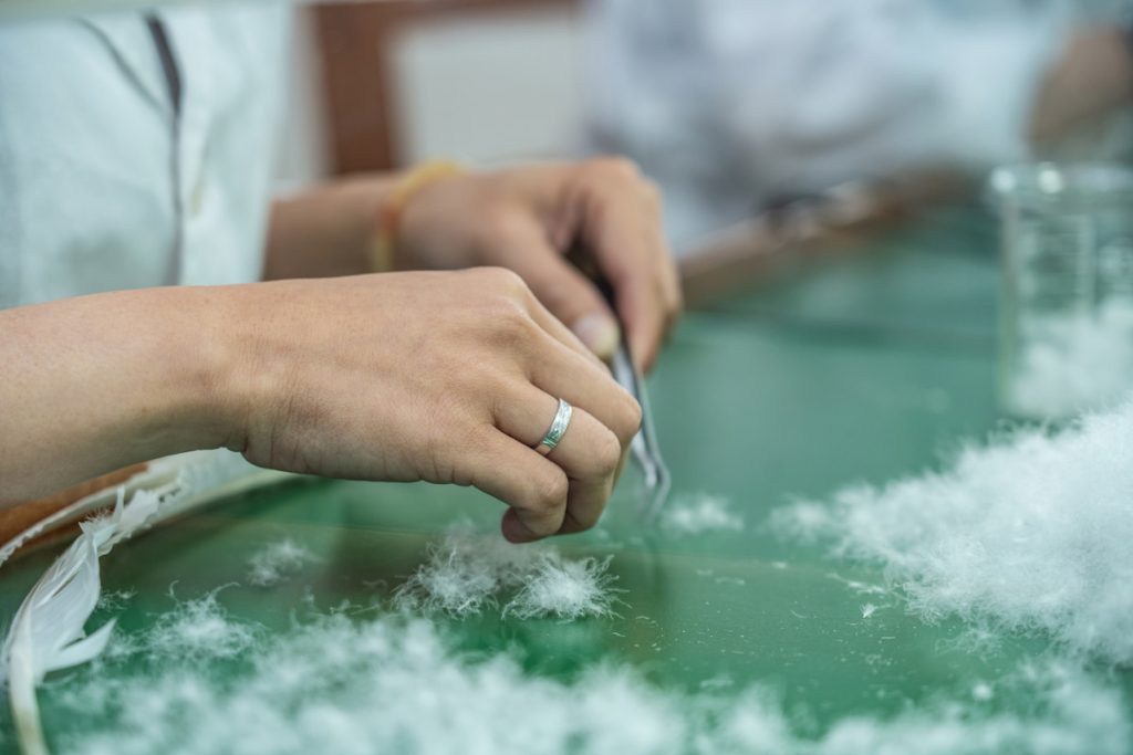 羽絨的內含物有羽和絨及雜質，要預先分檢，挑出最佳品質的絨絮。