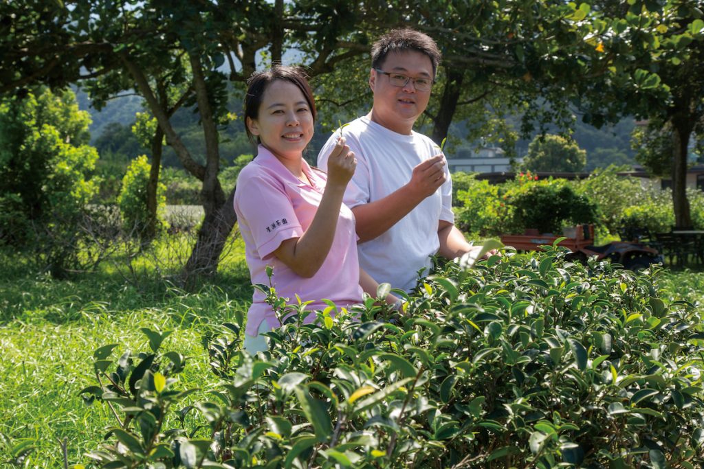 黃資婷和劉景源將星源茶園打造成體驗茶園。