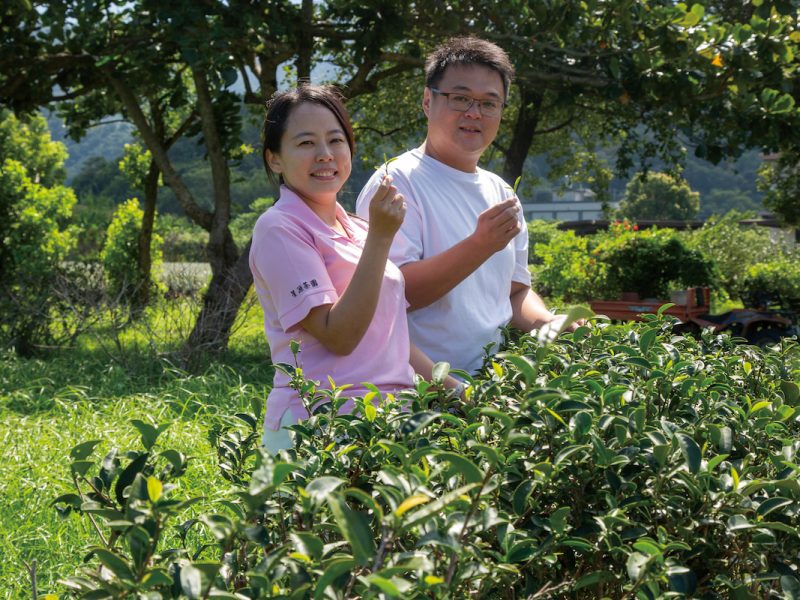 黃資婷和劉景源將星源茶園打造成體驗茶園。