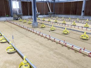 家禽場智慧環控設備。