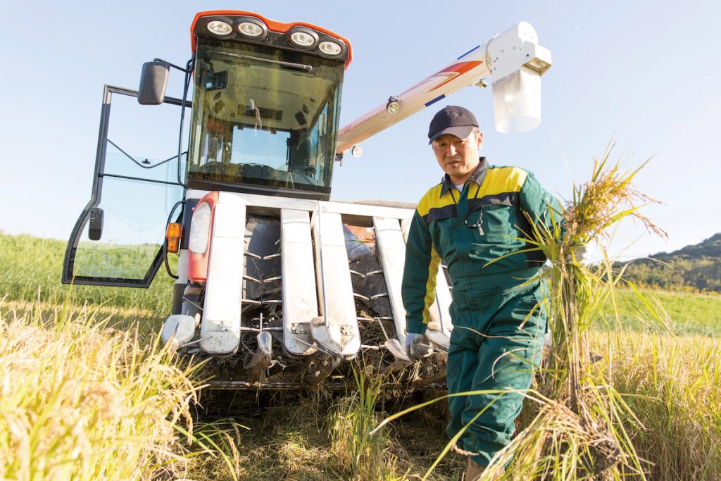 農業聘僱移工填補短缺勞動力，如何讓勞動力更多元、妥善利用，也值得從國外案例借鏡省思。（攝影╱kazoka303030 on Adobe Stock）