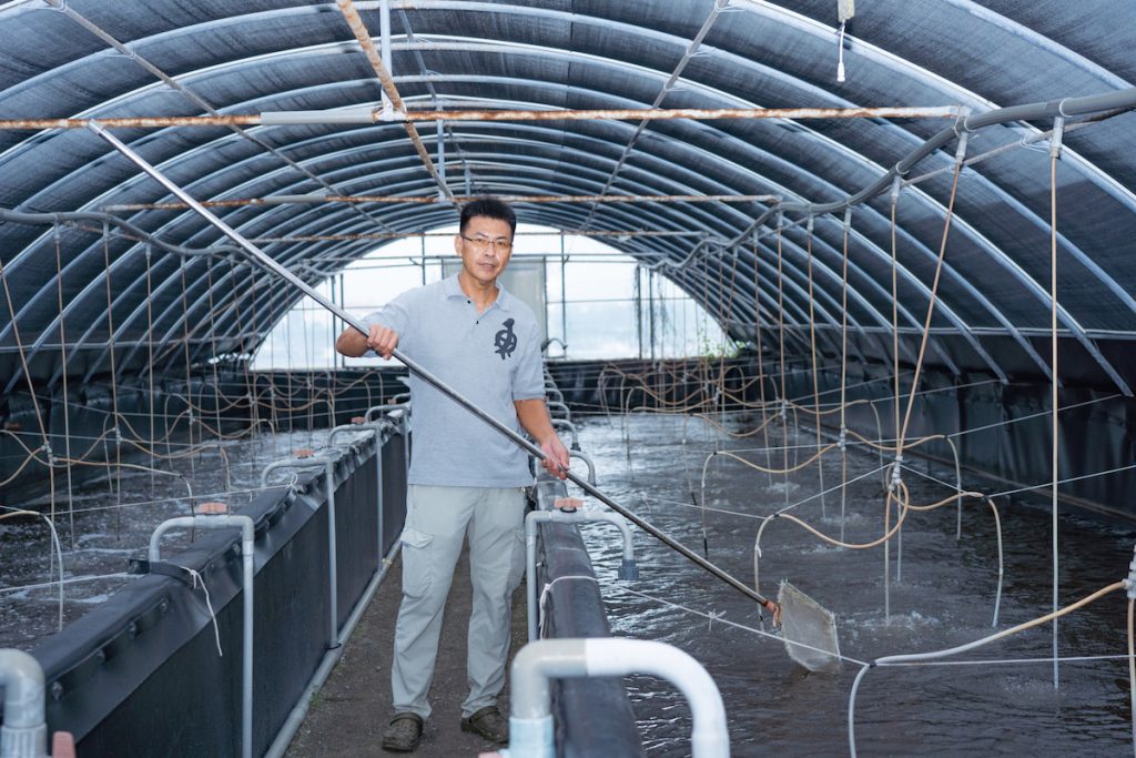 養殖本科出身的賴玨光，以精確的循環水養殖模式，打造封閉養蝦環境做到每日放苗每日收成，精準控管產量與訂單，２分地的溫室養殖場，可以創造600～800萬元營收。