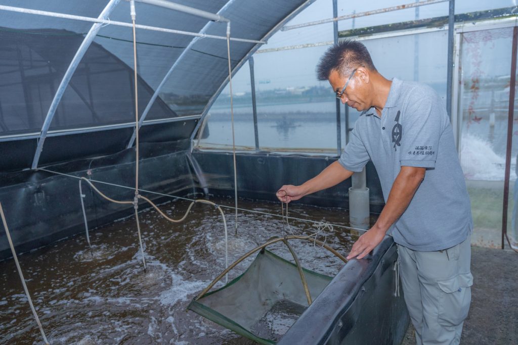 賴玨光認為,養蝦的訣竅是再養整個系統,讓養殖池裡面的廢棄物含量保持在標準,這樣不管是魚或蝦等各種水產,都可以長的頭好壯壯。