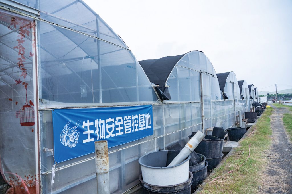 臺灣地狹人稠,賴玨光認為,只有注重生物環境控管的養殖方式,才能讓臺灣養殖業另闢蹊徑。