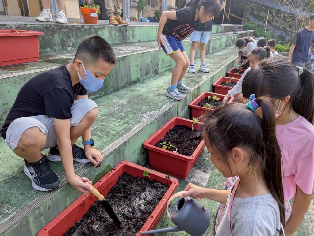 校園內的開心雜糧農場,學生親自種植地瓜。